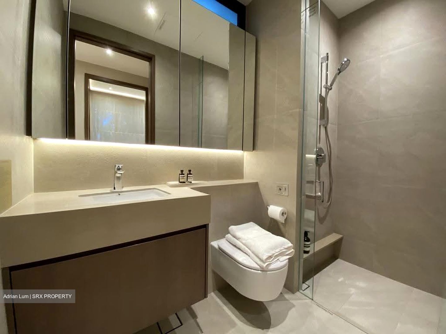 Holland Link (D10), Condominium #634635181